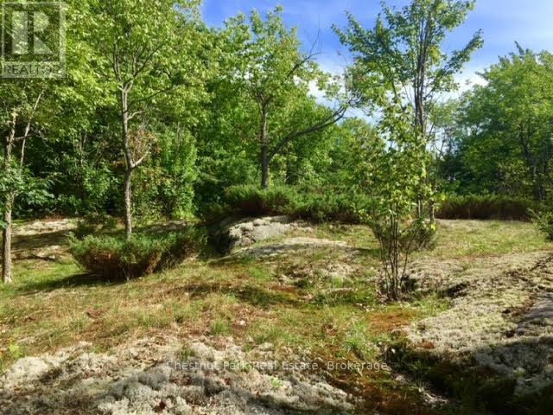 1236 BUTTER & EGG ROAD, 