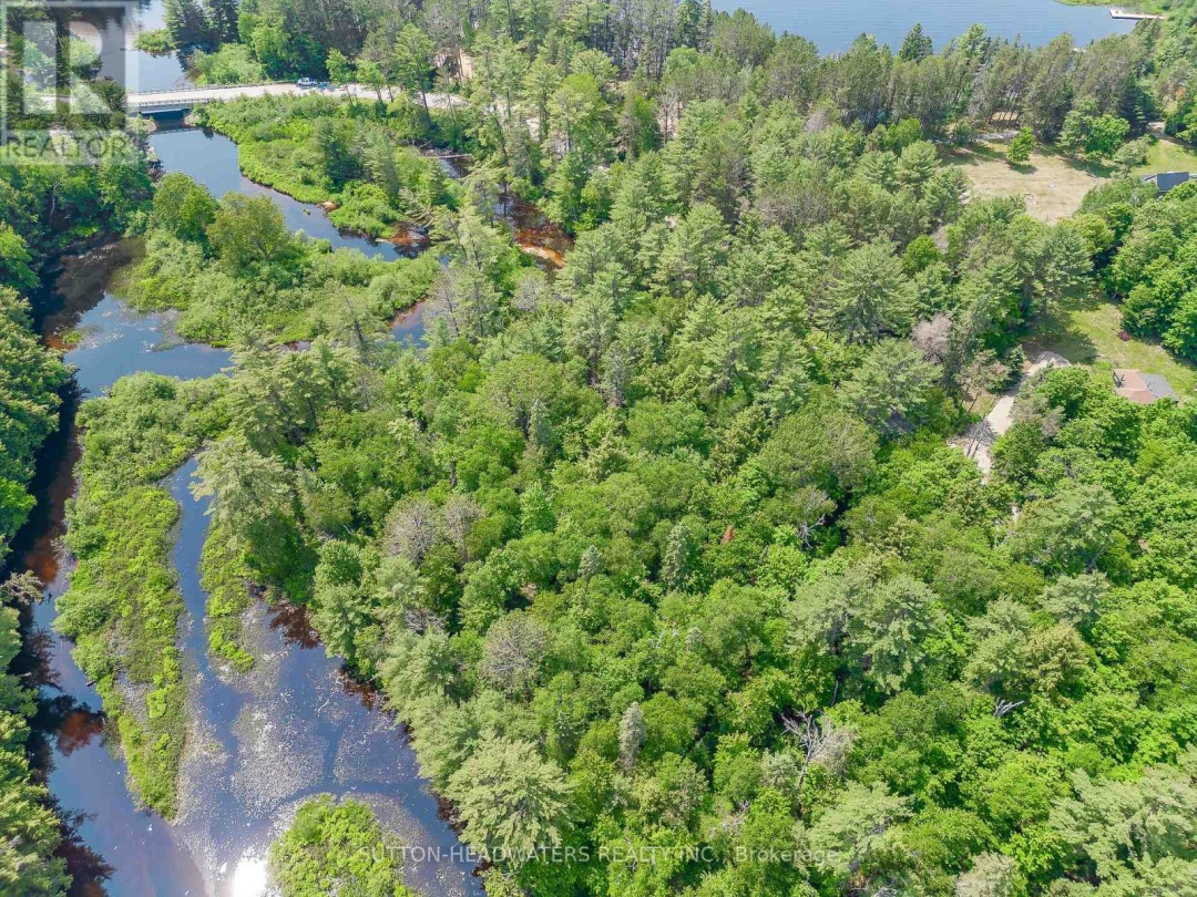 3997 Ravenscliffe Road, Buck Lake