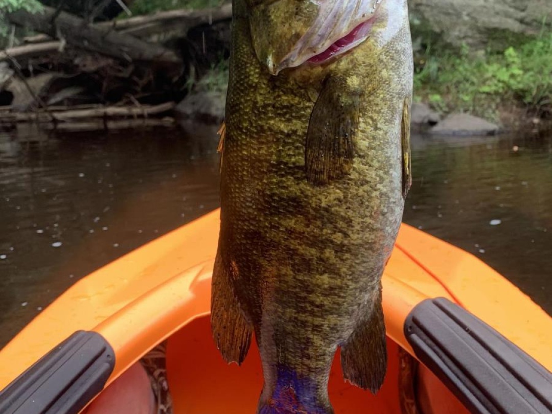 1517 SOUTHWOOD ROAD,