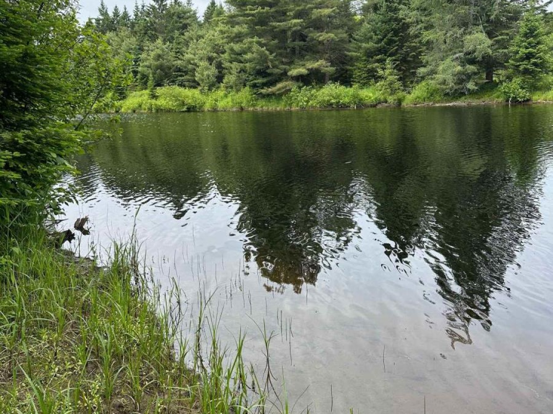 170 CEDAR SHORES PRIVATE, 