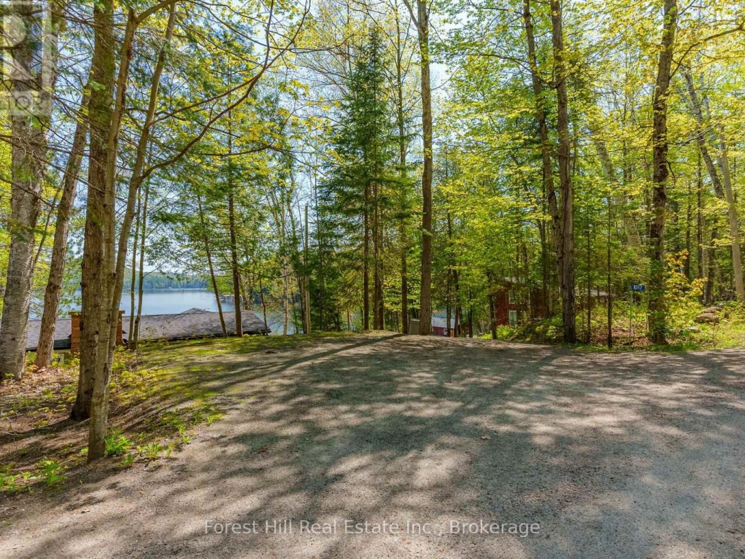 1017 WHITE PINE ROAD, 