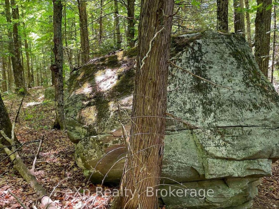 Lot # 4 Gonnsen Trail, Drag Lake