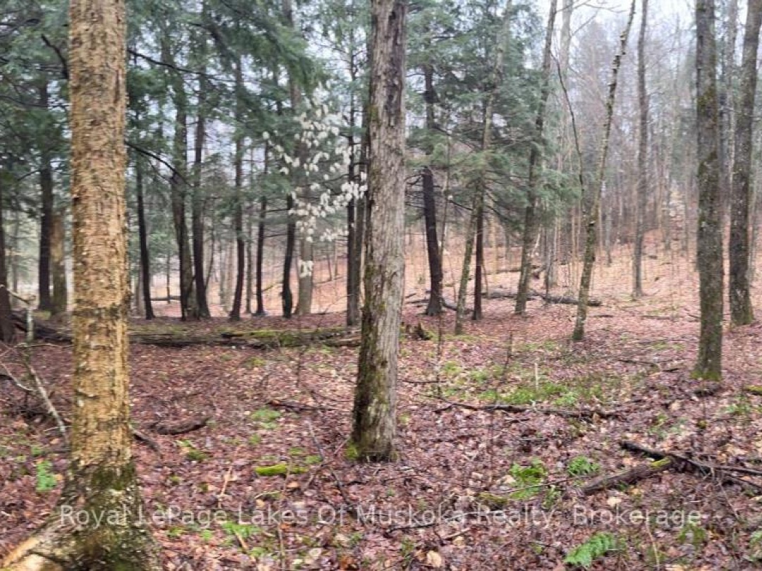 Lot 90 Lookout Point Road, Lake Vernon