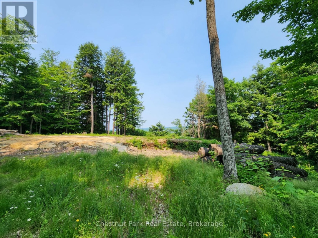 19 OLD HEMLOCK TRAIL, 