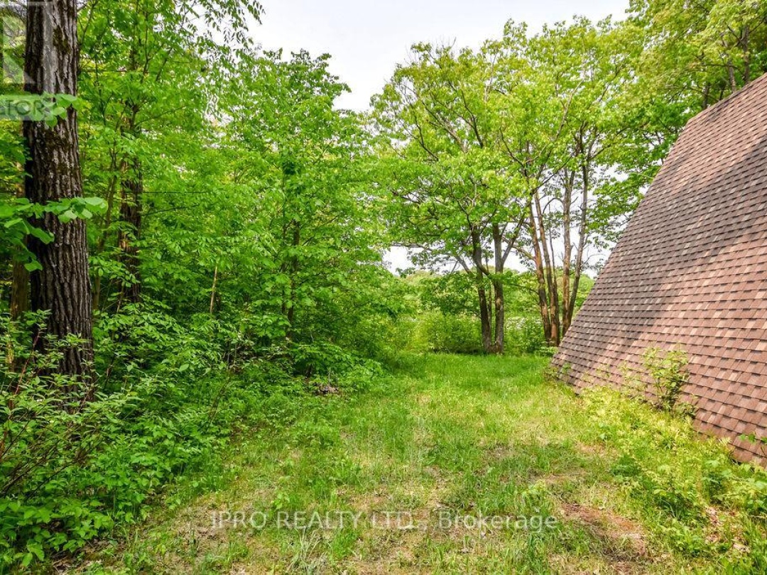 382 Corrievale Road, Little Lake