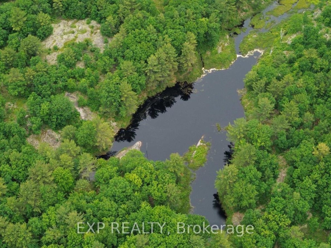 3950 Severn River Shore, Trent Severn