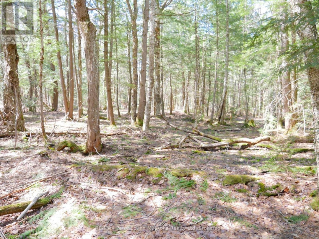 3 GREENWOOD CAMP ROAD, Seguin