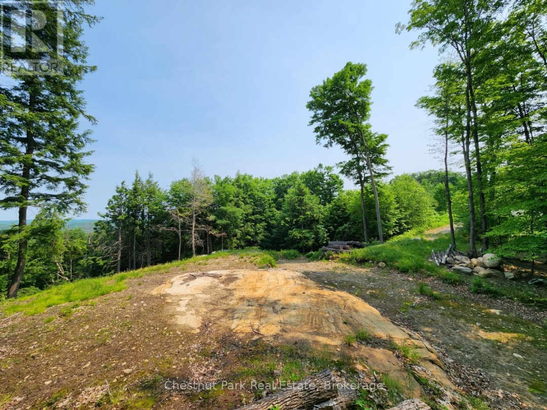 19 OLD HEMLOCK TRAIL, 