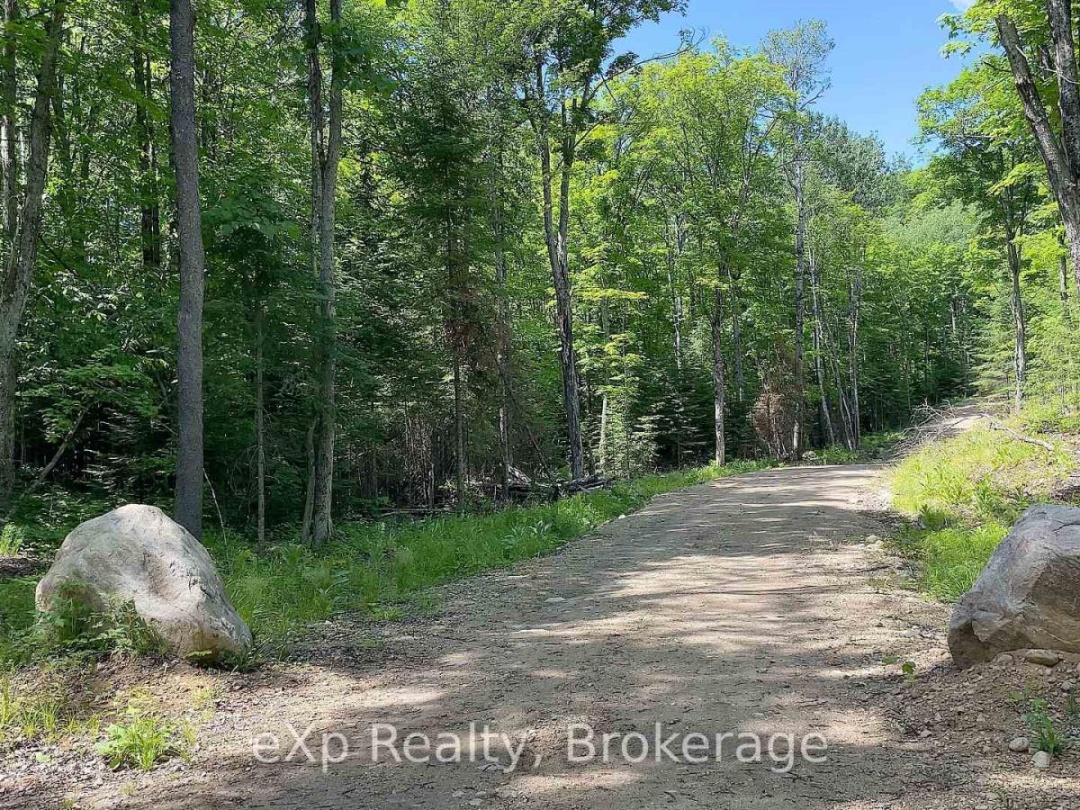 Lot # 4 Gonnsen Trail, Drag Lake