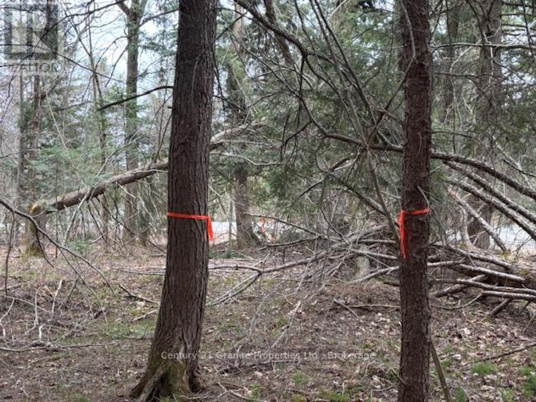 Lot 2 Loch Erne Road, McDougall