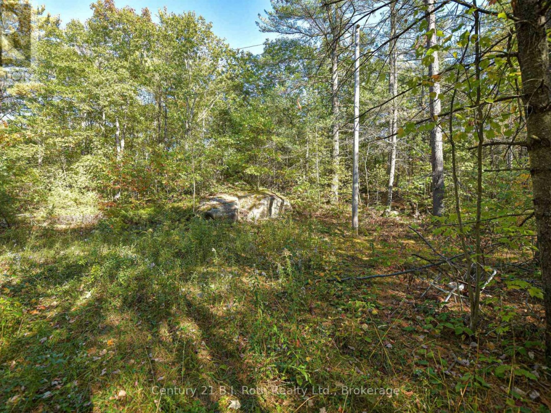 2 - 1112 SAM COOK ROAD,