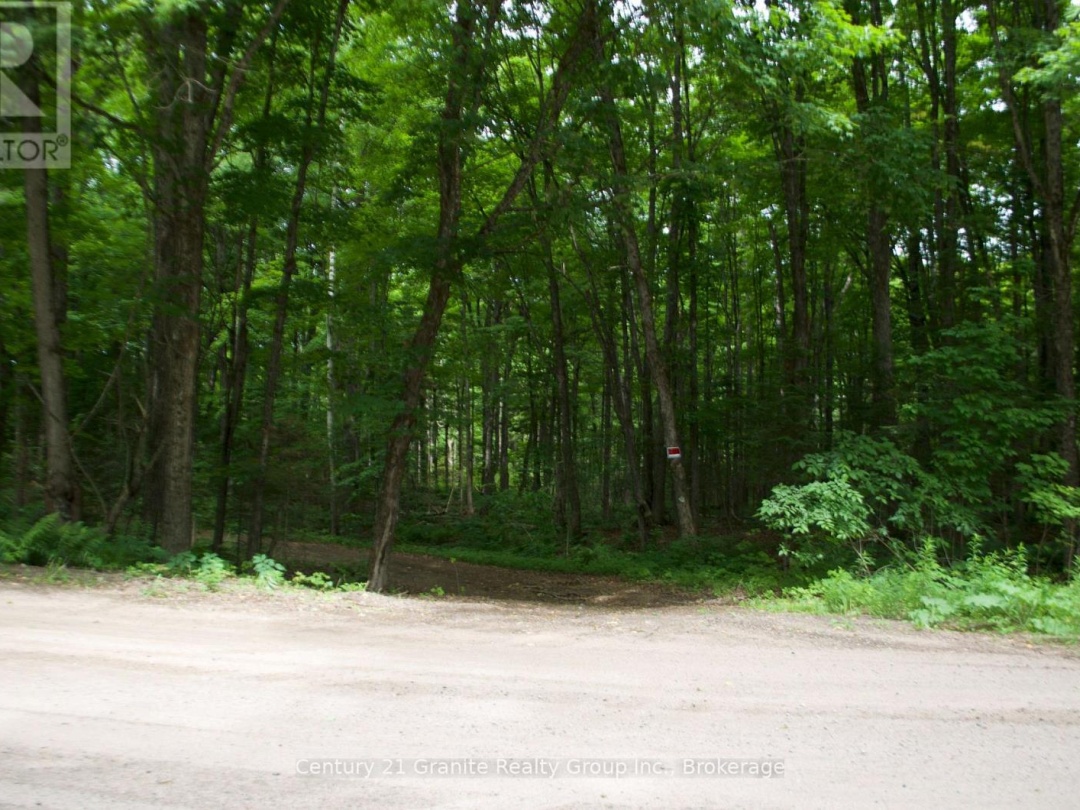LOT 10 LOON LAKE ROAD S, 