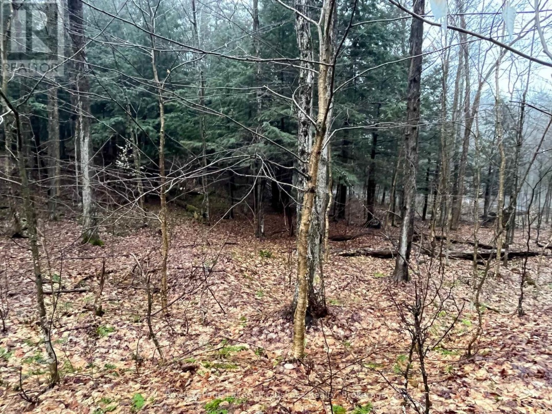 Lot 90 Lookout Point Road, Lake Vernon