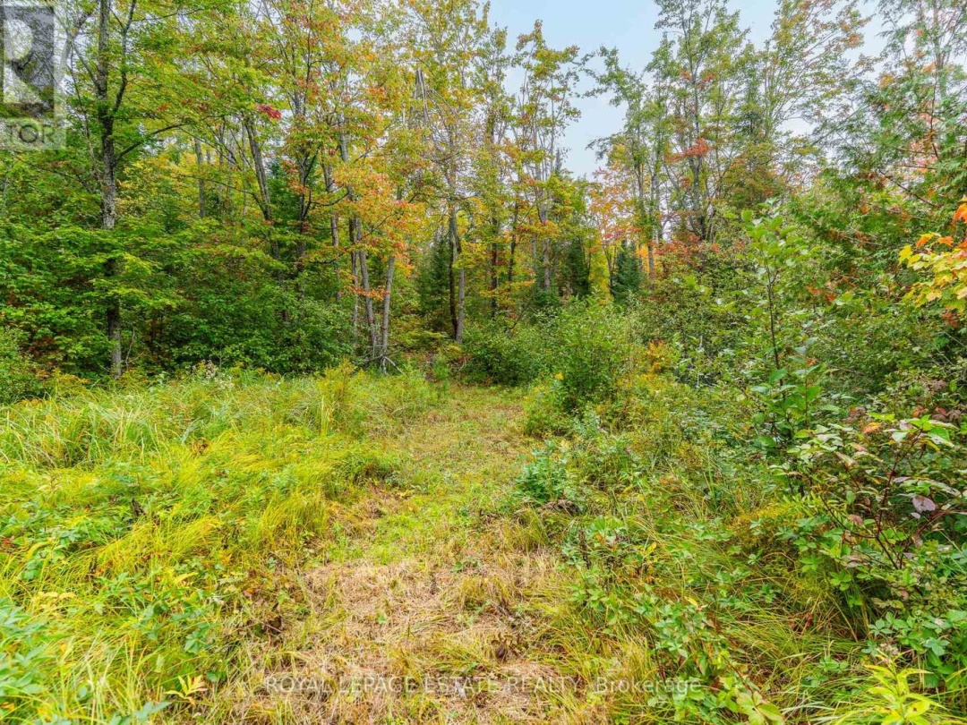 BLOCK B CREGO LAKE ROAD, 