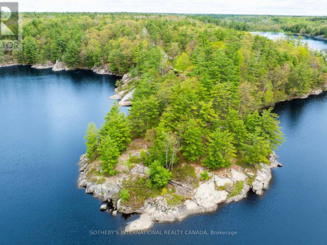 1074 Cooks Road, Bass Lake