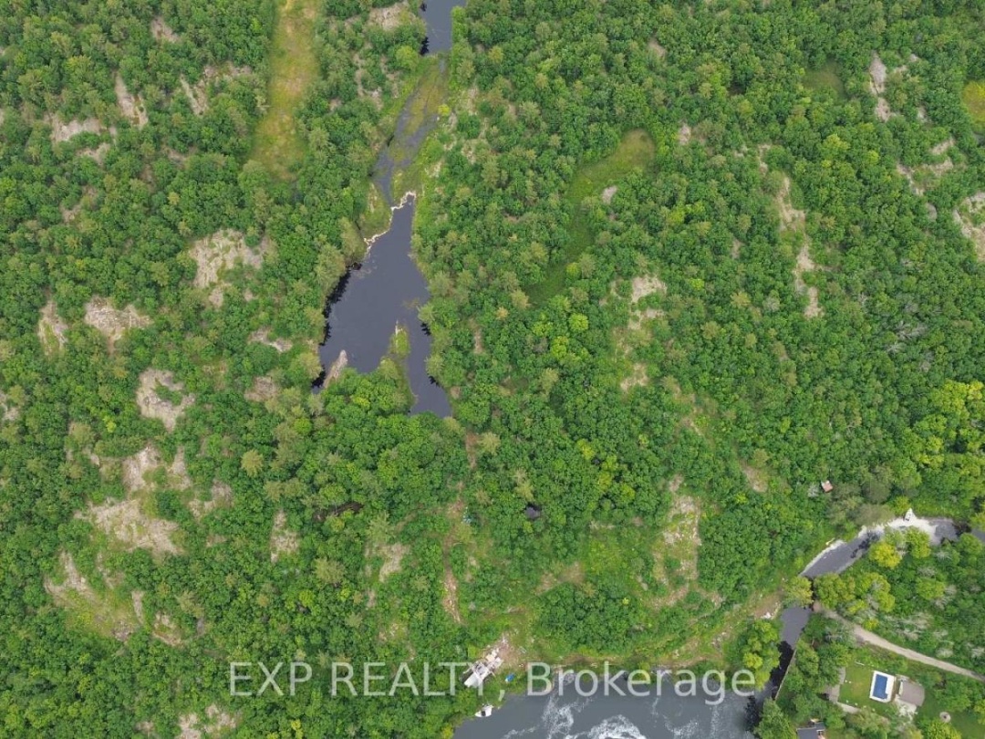 3950 Severn River Shore, Trent Severn