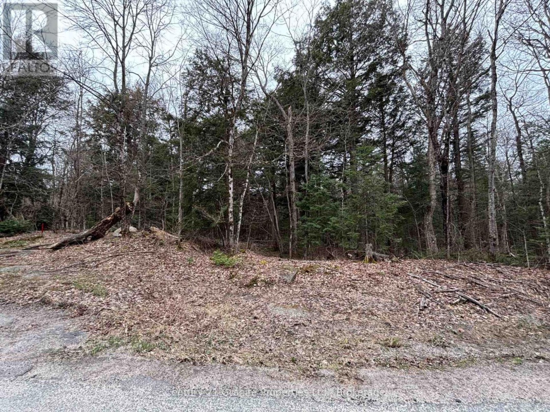 LOT 1 LOCH ERNE ROAD, McDougall