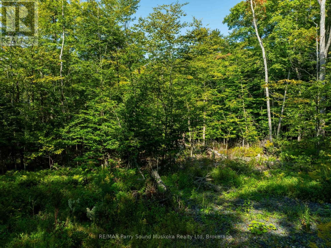 18 BURNSIDE BRIDGE ROAD, 