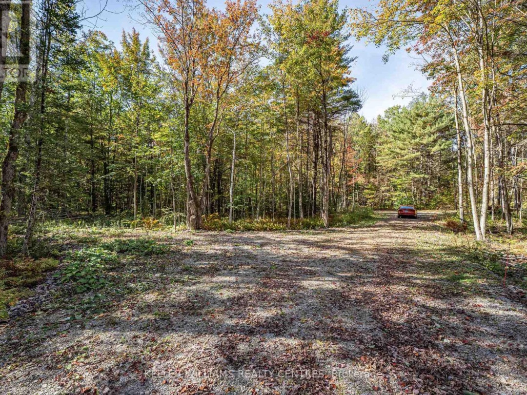 3124 SOUTHWOOD ROAD, 