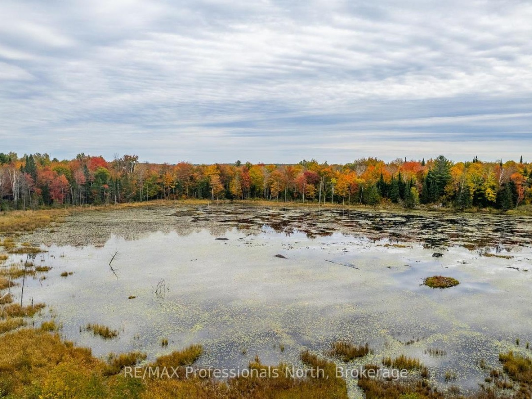 1600 BOBCAYGEON ROAD, 