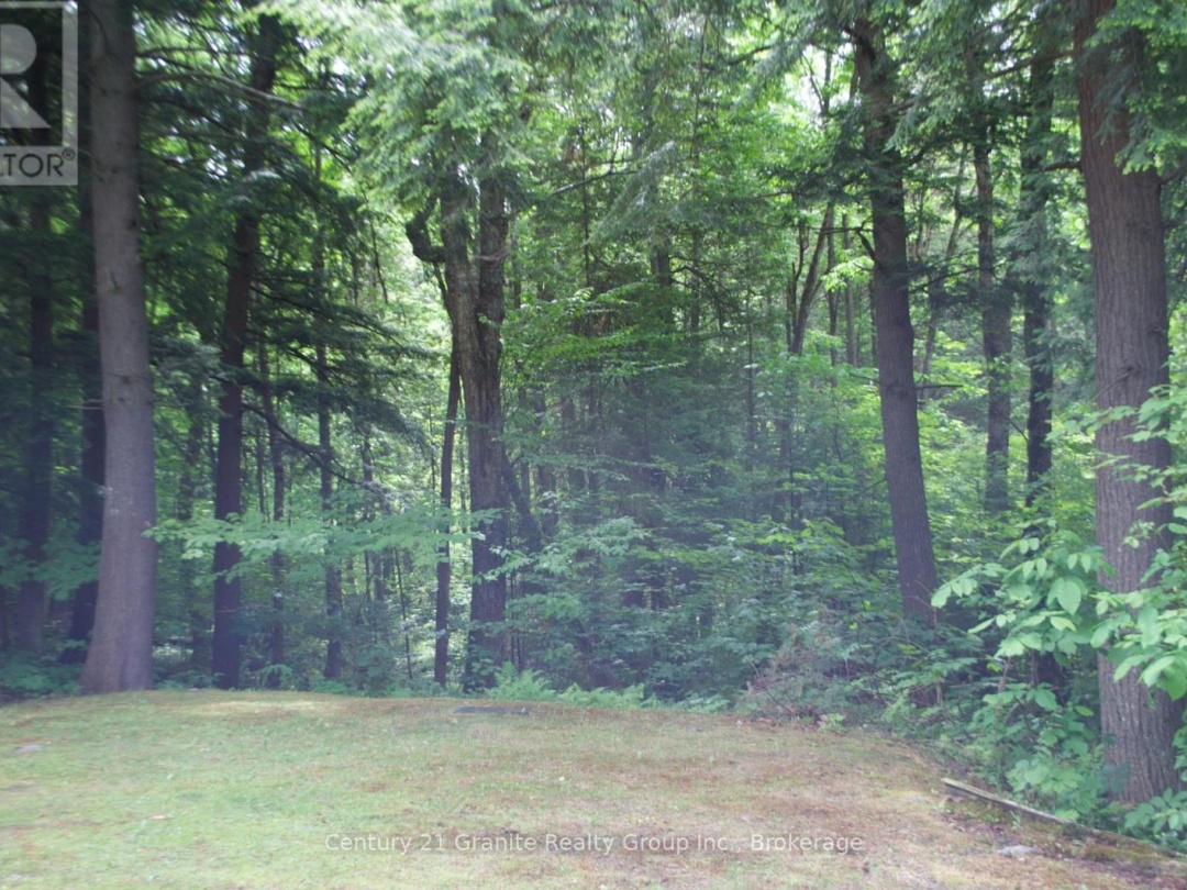 LOT 10 LOON LAKE ROAD S, 