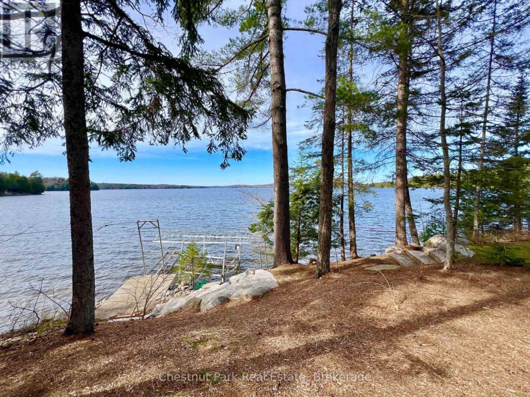 1036 Abbey Lane, Boshkung Lake