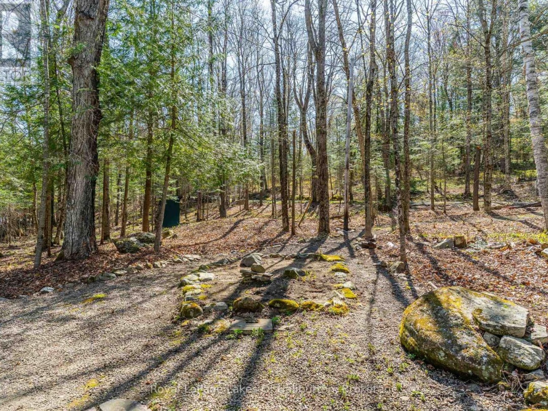 1096 Reg's Trail, Drag Lake