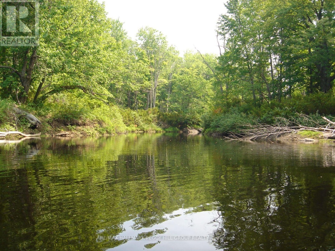 7012 COUNTY ROAD 169, 