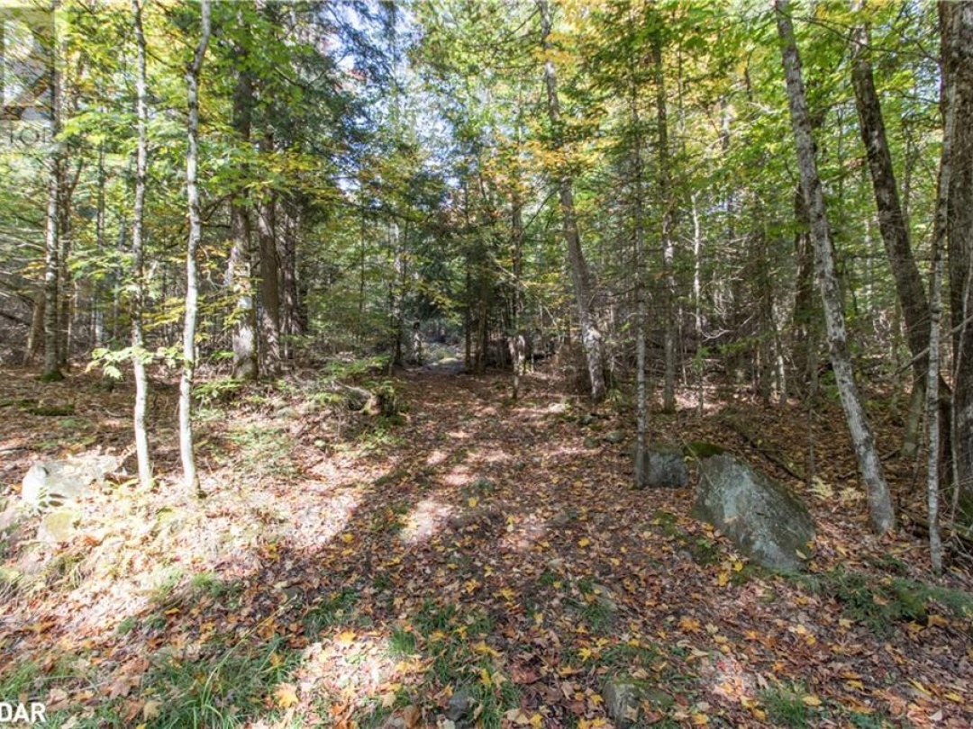 0 Lynx Lake Road, Huntsville