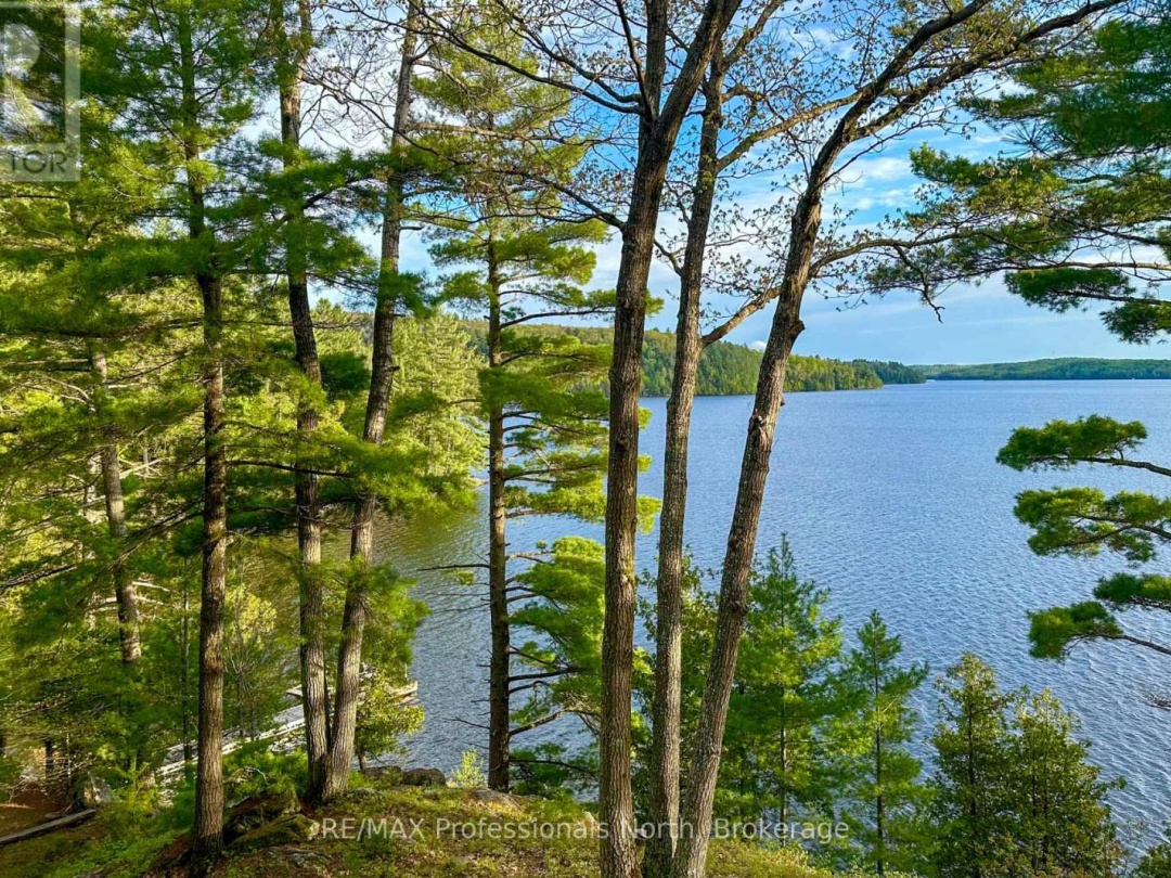 11405 DRAG LAKE EAST SHORE, 