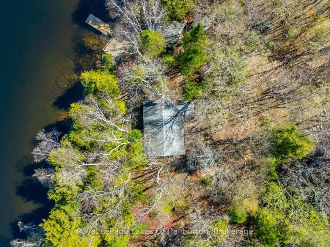 1096 Reg's Trail, Drag Lake