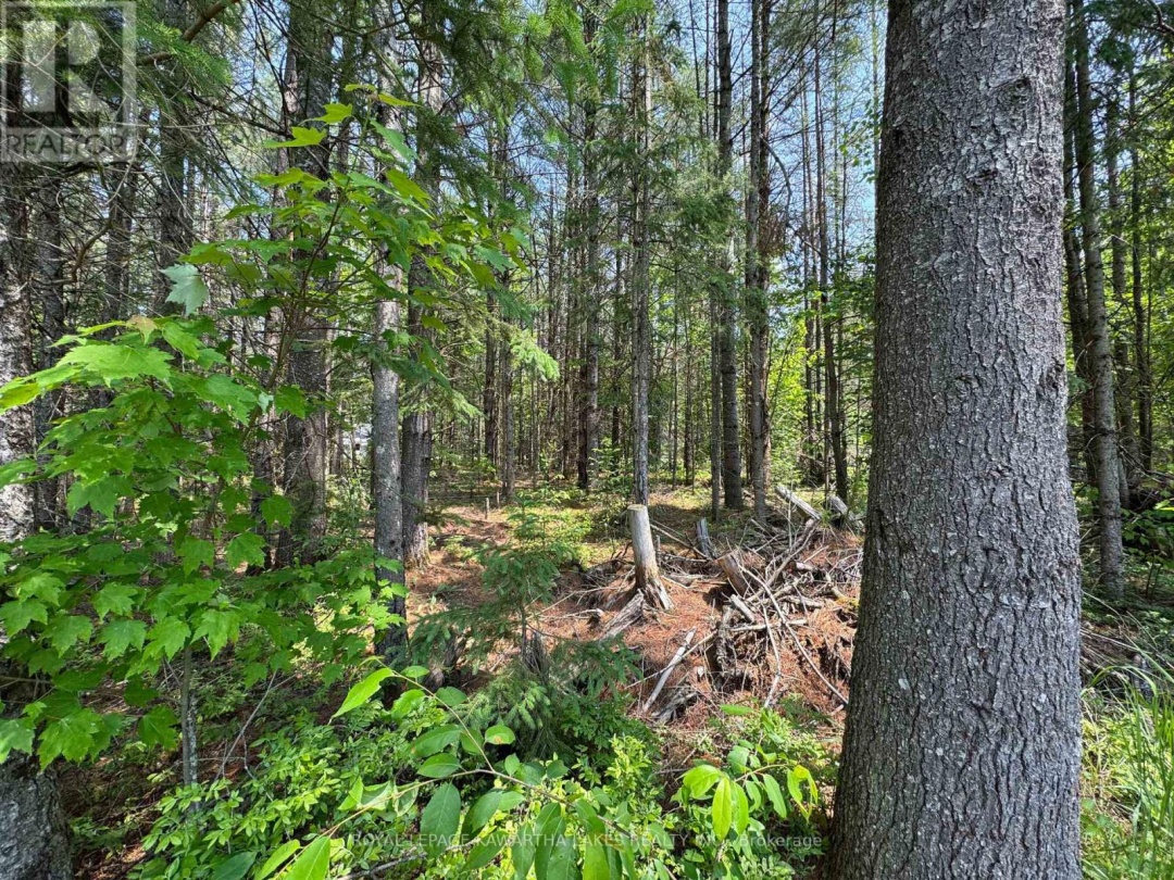 LOT 8 WATSON DRIVE, 