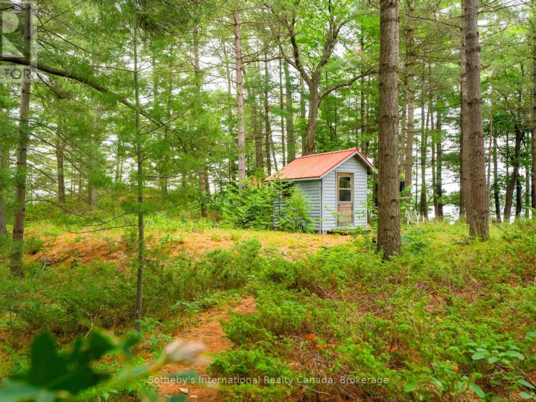 16Lk 1 Wolf Island, Kahshe Lake