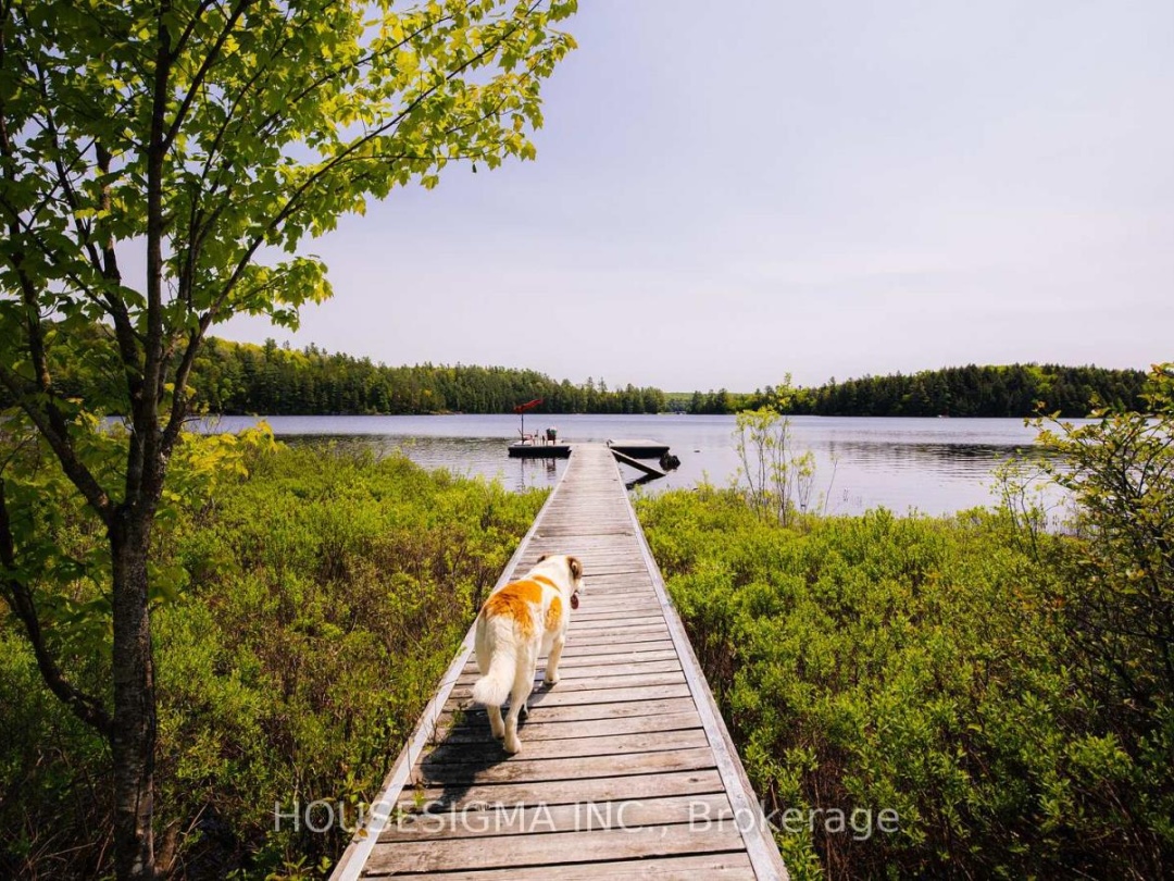 1208 Minnow Drive, Kennisis Lake
