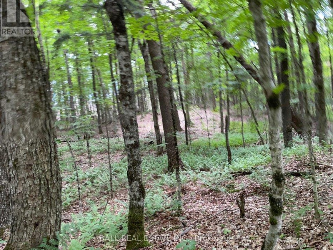 1350 HALIBURTON LAKE RD,