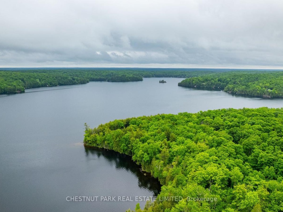 1601 CLAUDE BROWN ROAD, 