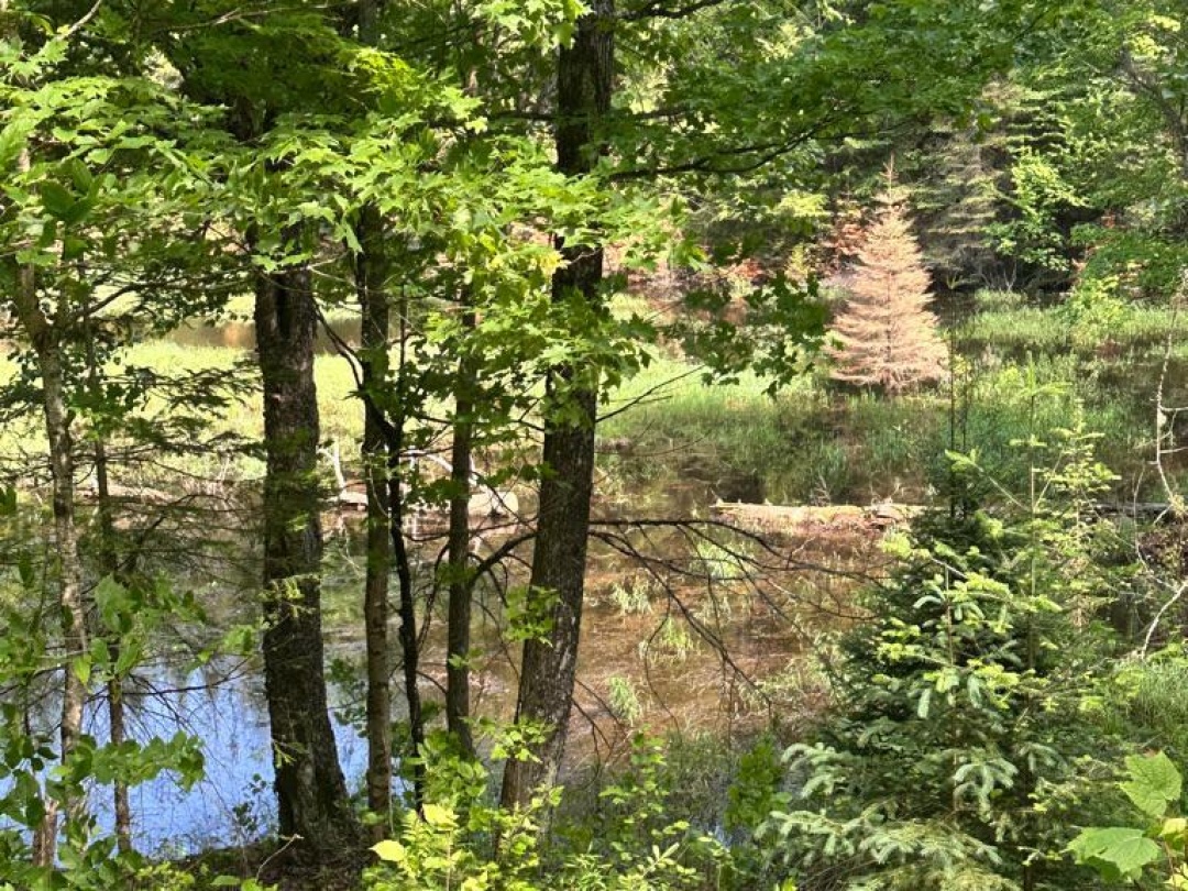 PT LOT 6 CON 10 MONMOUTH MADILL ROAD, 