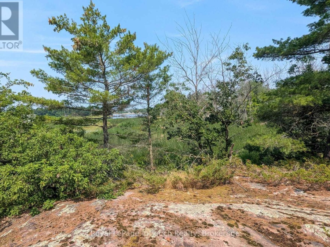 180 PRISQUE ROAD, Georgian Bay