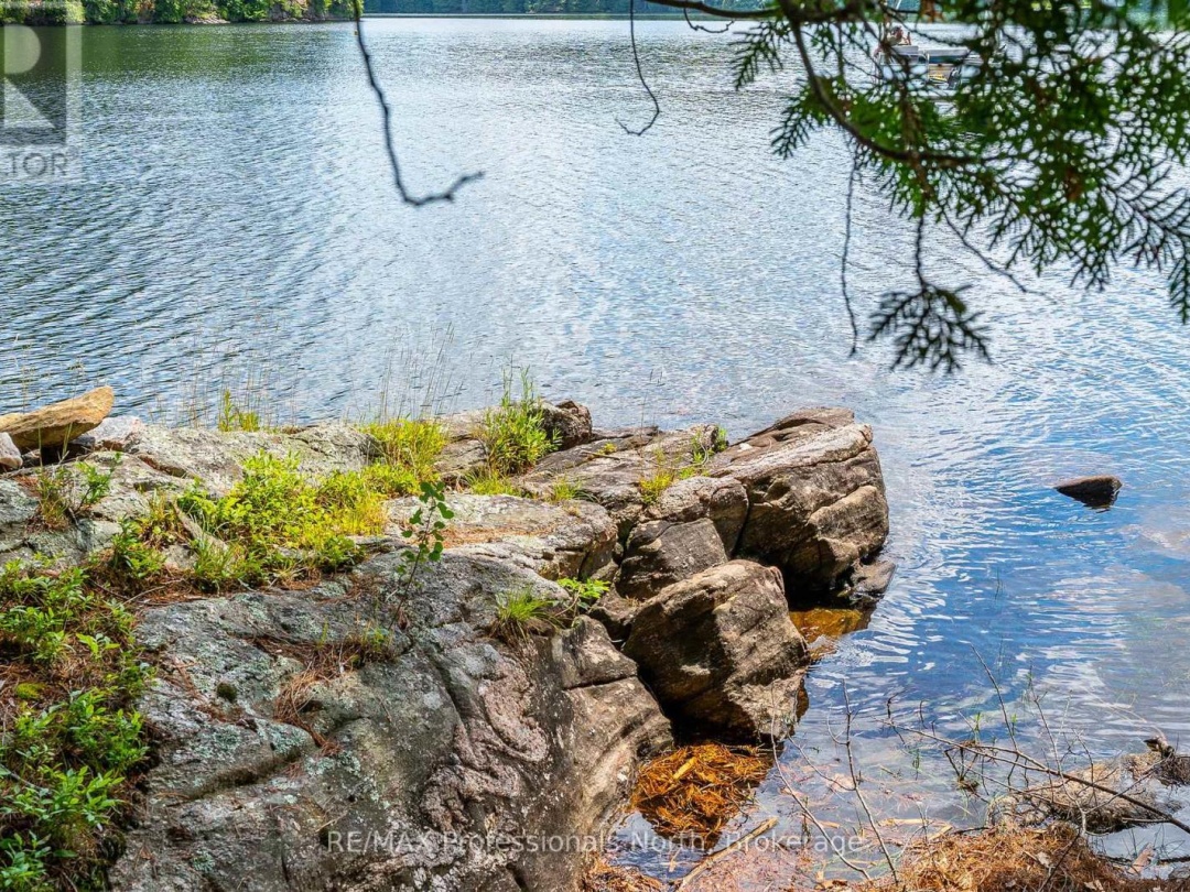 53437 BIG HAWK LAKE, 