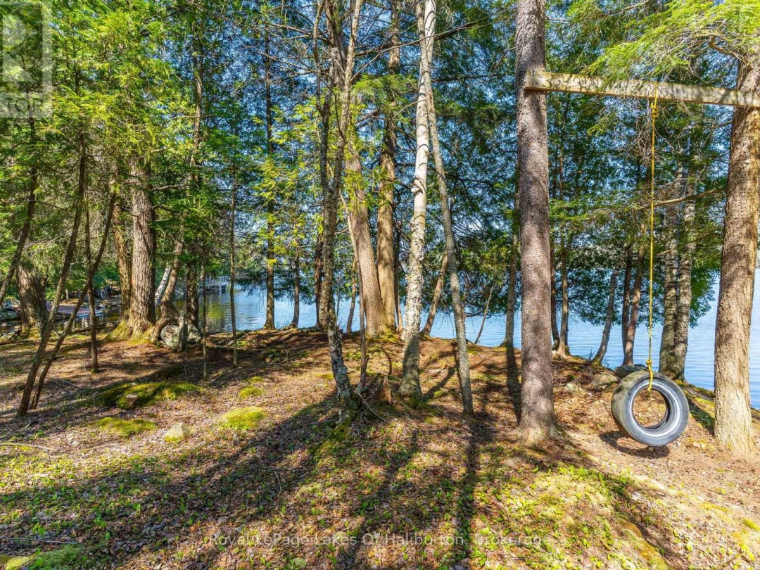 1096 Reg's Trail, Drag Lake