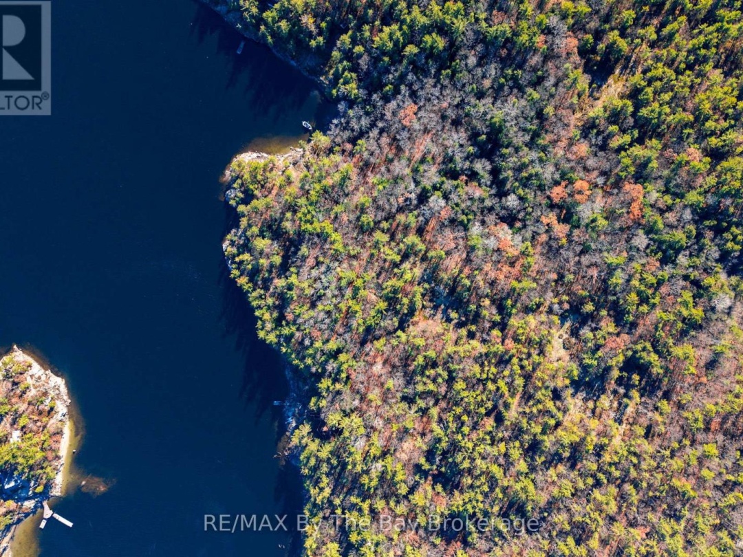 3220 IS 1810 / BONE IS,