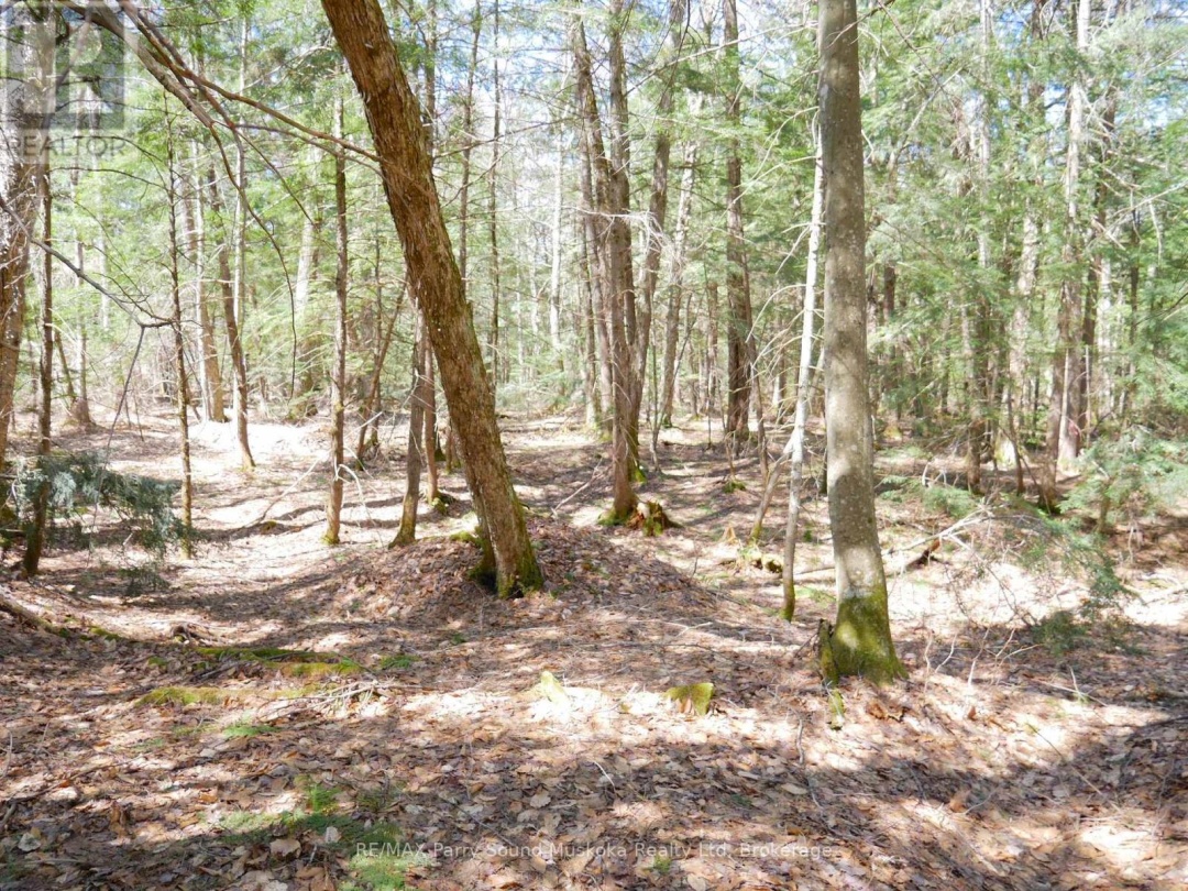 3 GREENWOOD CAMP ROAD, Seguin