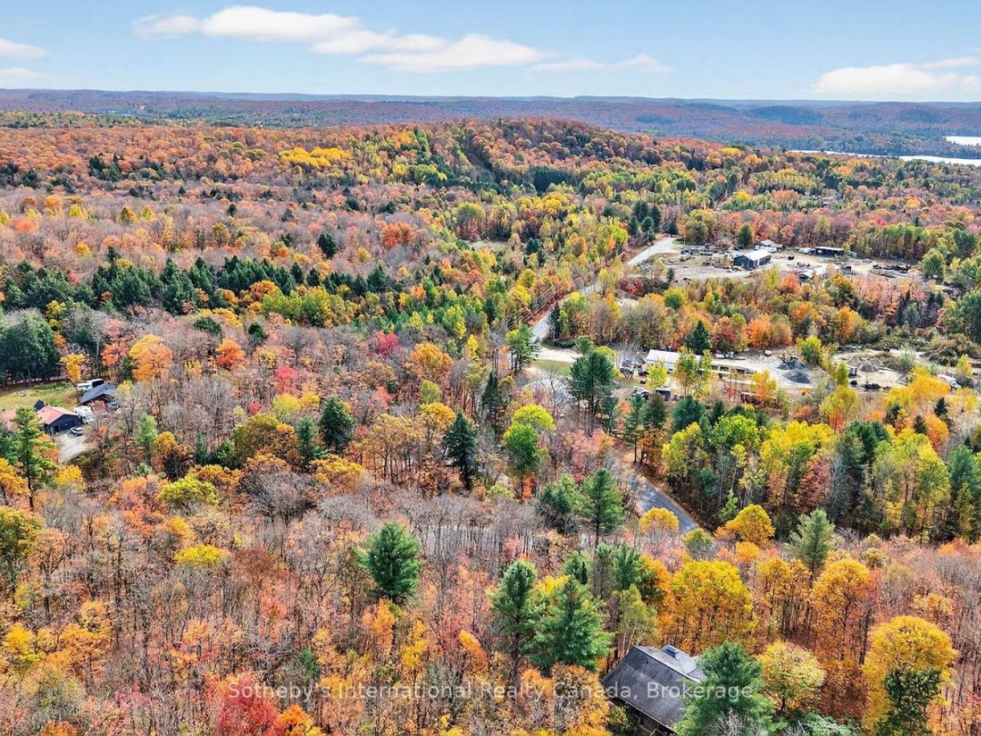 1132 LIMBERLOST ROAD, 