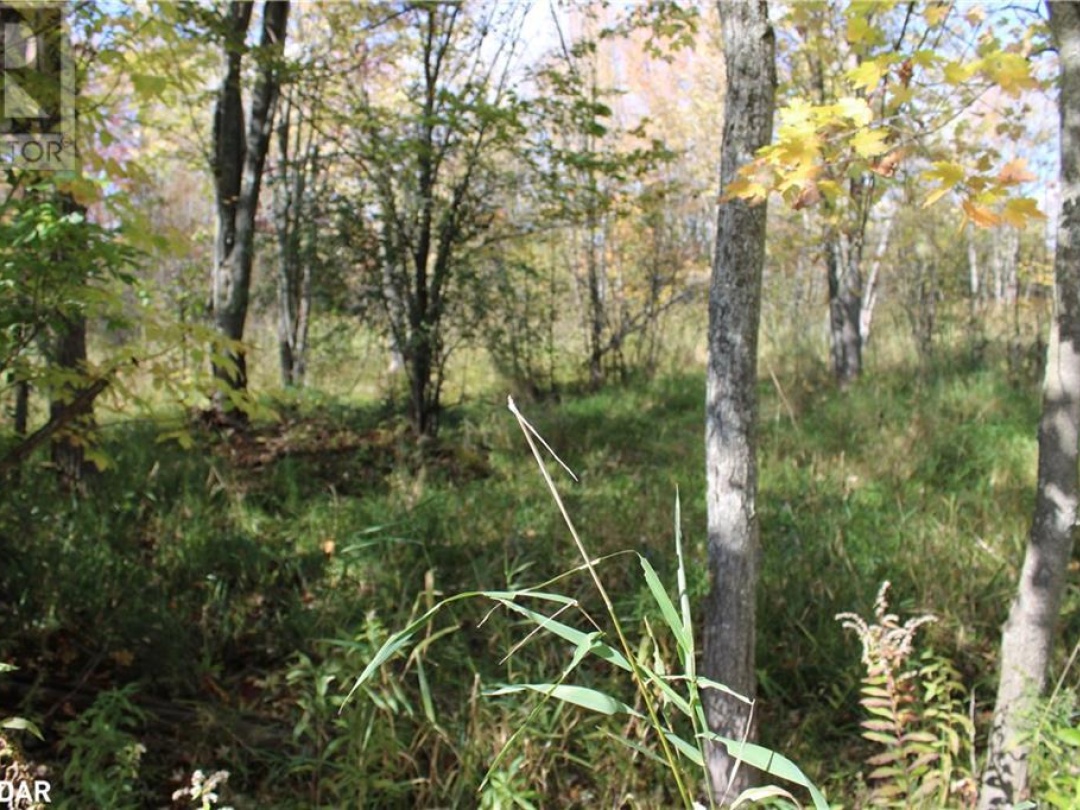 388 Woodland Drive, Oro-Medonte