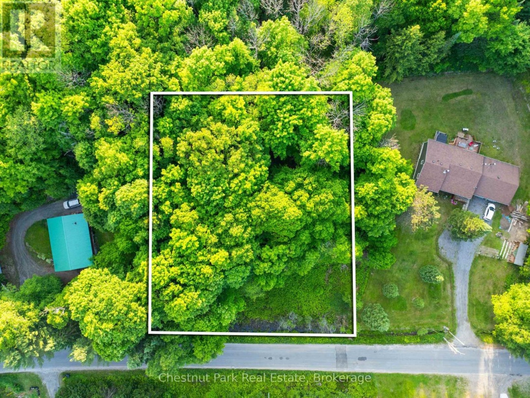 56 VERNON LANE, 
