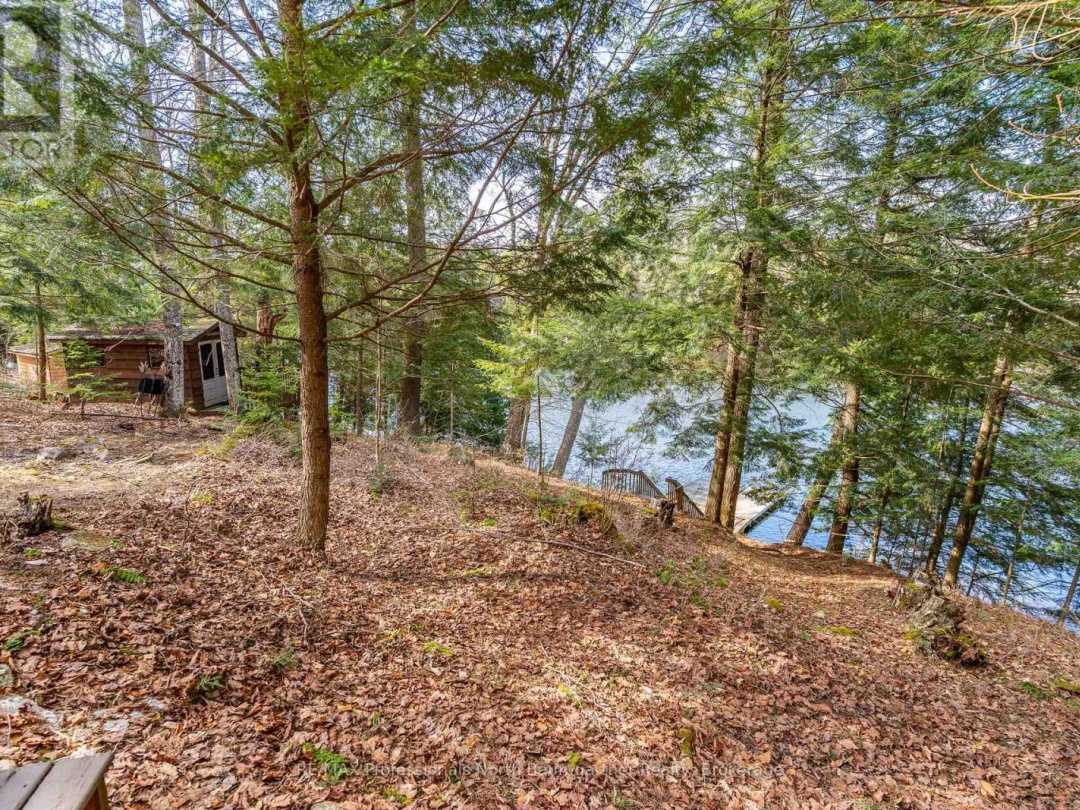 1117 Mink Road, Long Lake