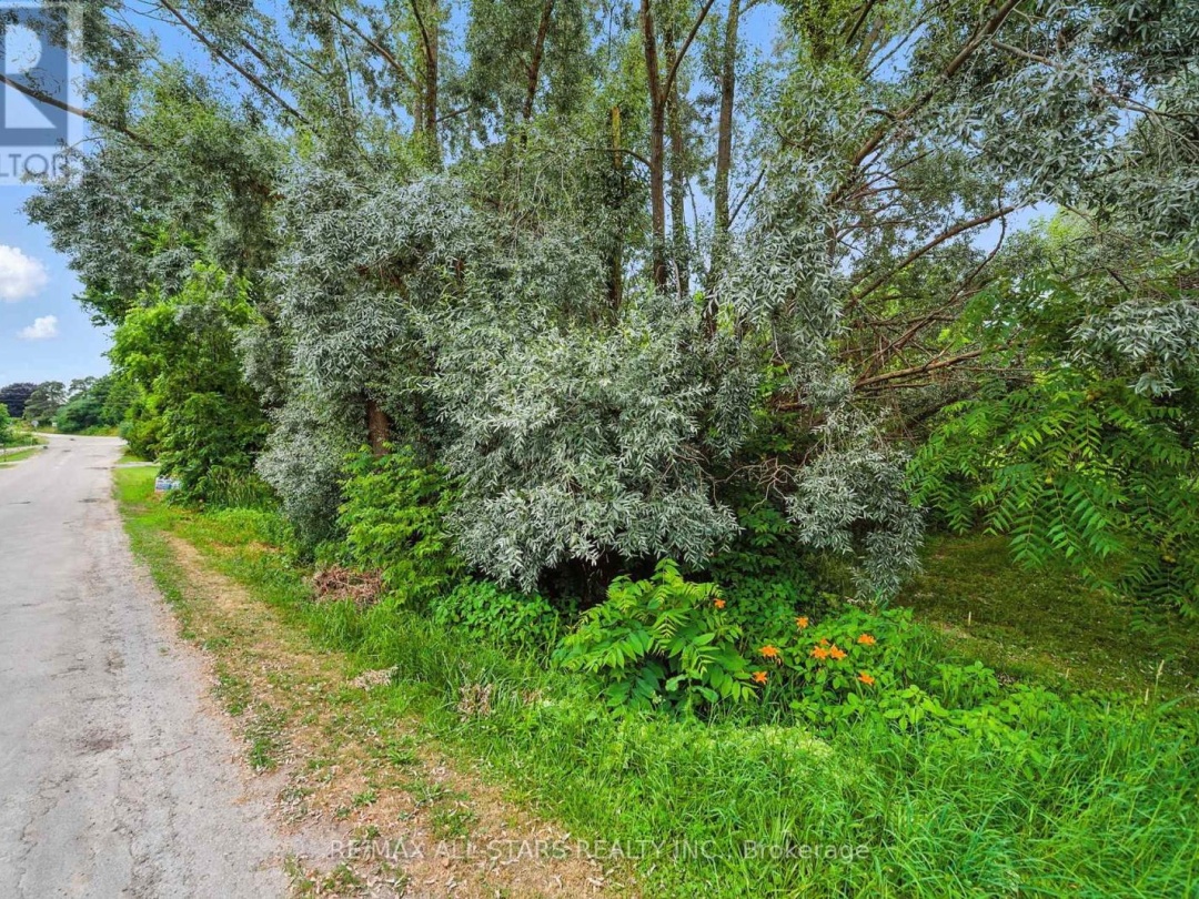 LOT 61 SUMMER DRIVE, 