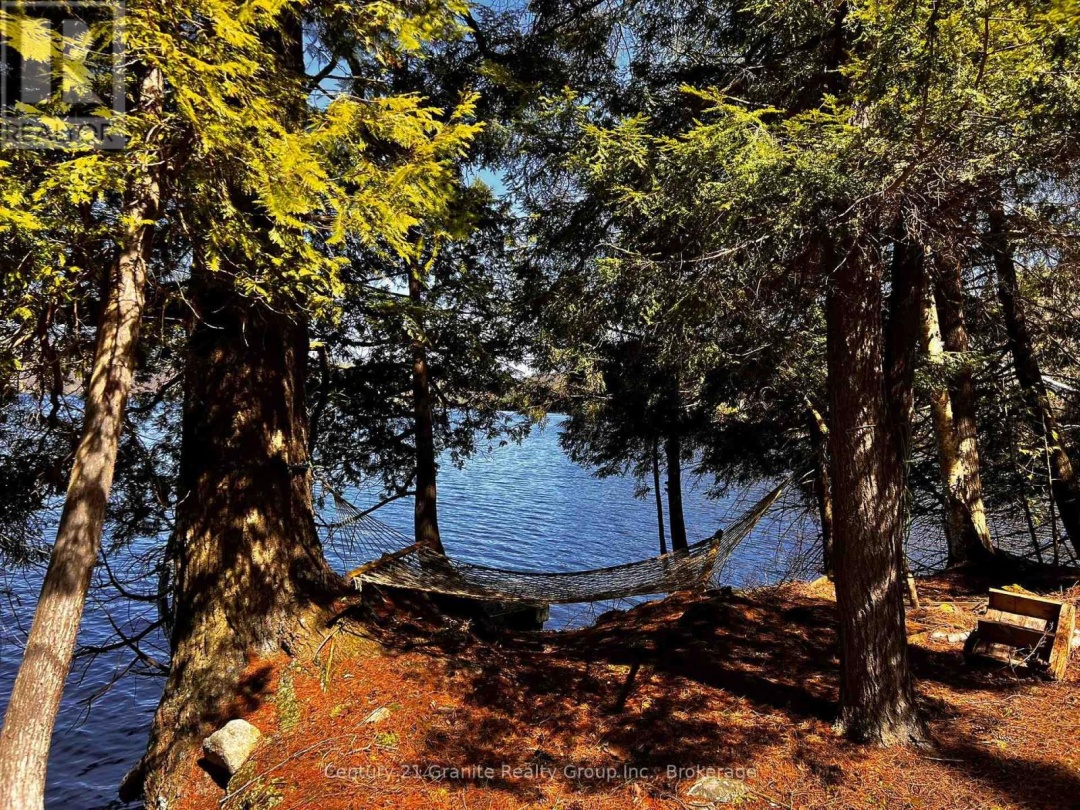 1208 Reg's Trail, Drag Lake