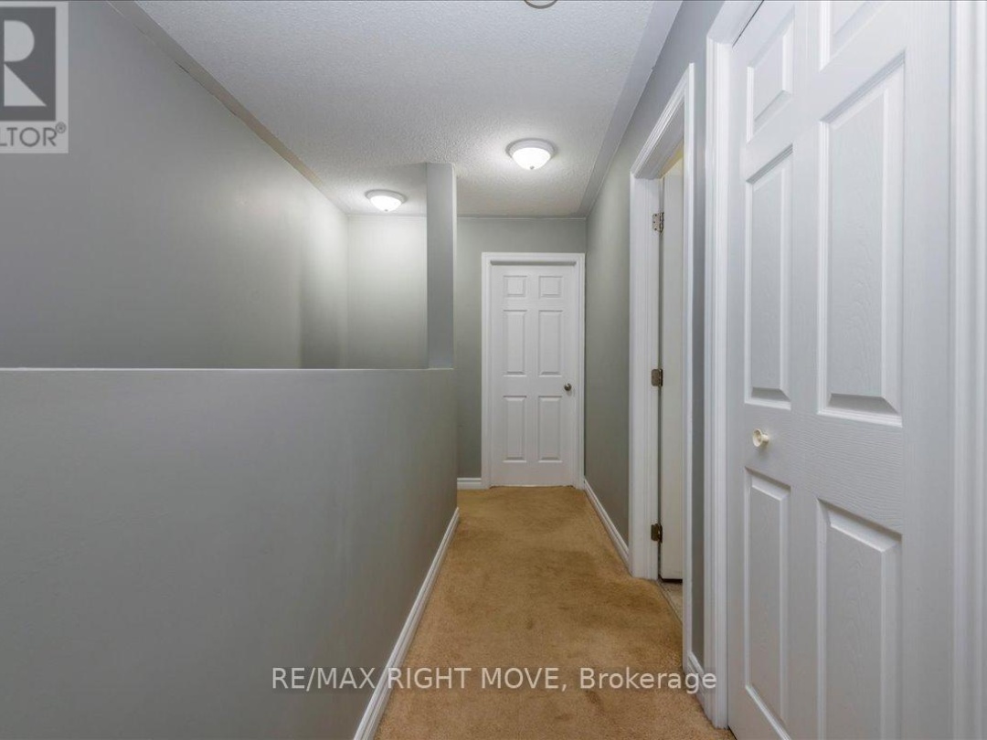 62 MICHELLE DRIVE, 