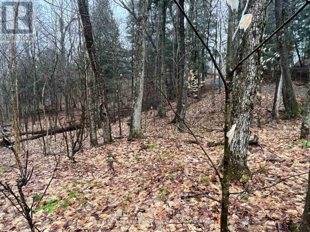 Lot 90 Lookout Point Road, Lake Vernon